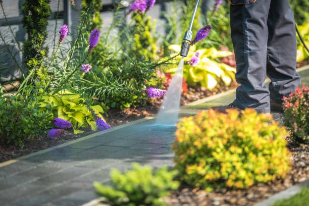 Best Patio and Deck Pressure Washing  in Venice Gardens, FL