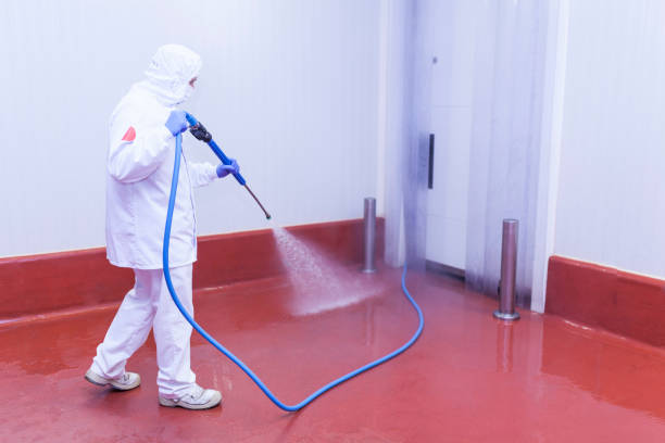 Best Pre-Holiday Cleaning  in Venice Gardens, FL